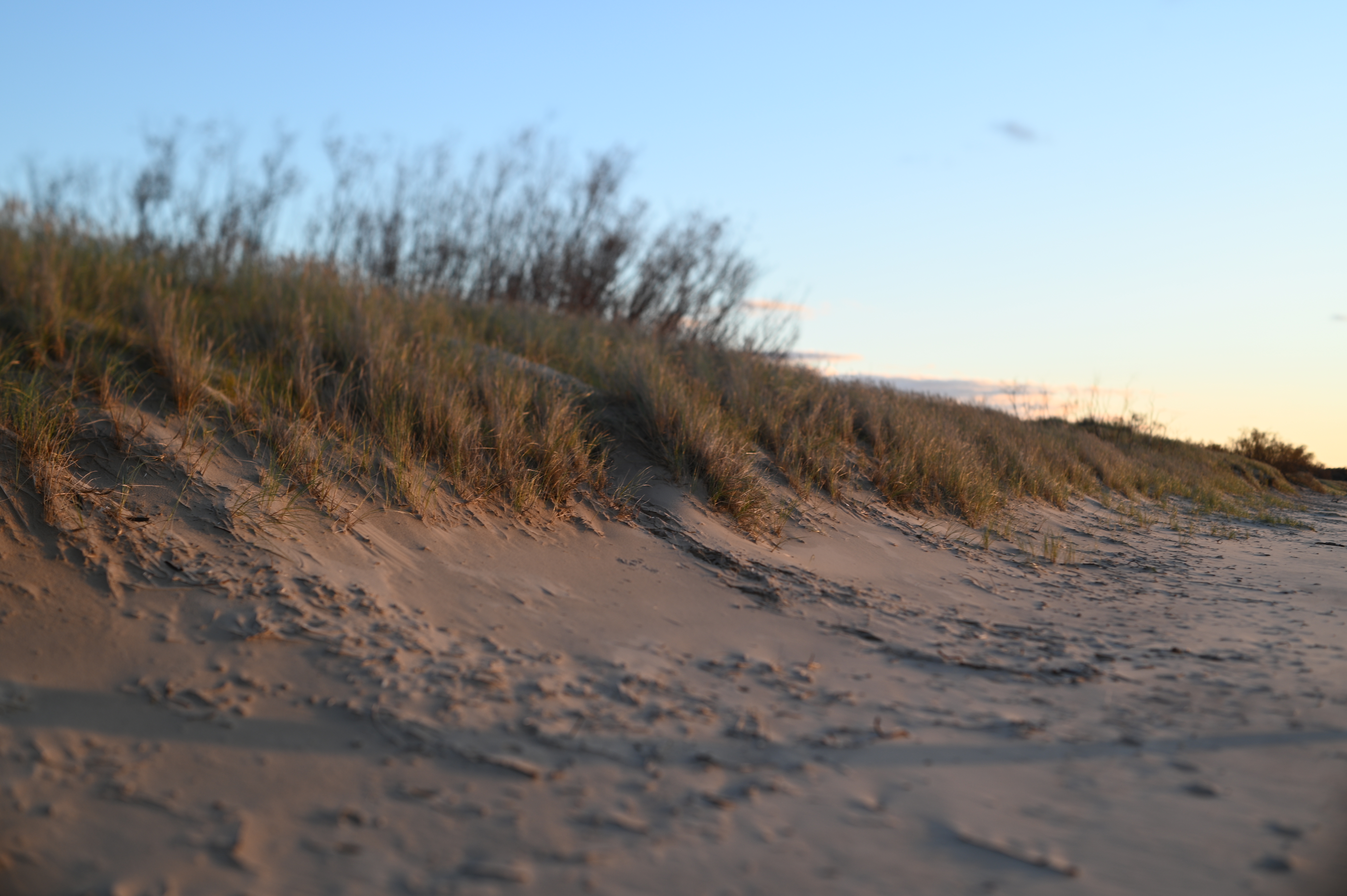 2025/10/18 - walk/DSC_0343.JPG